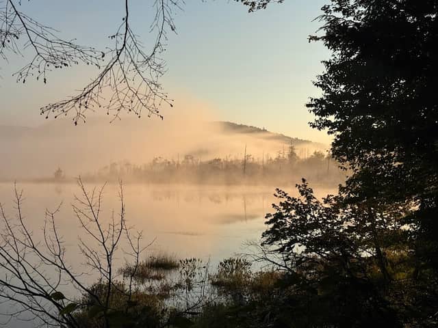 Good Luck Lake Campsites - Image 3