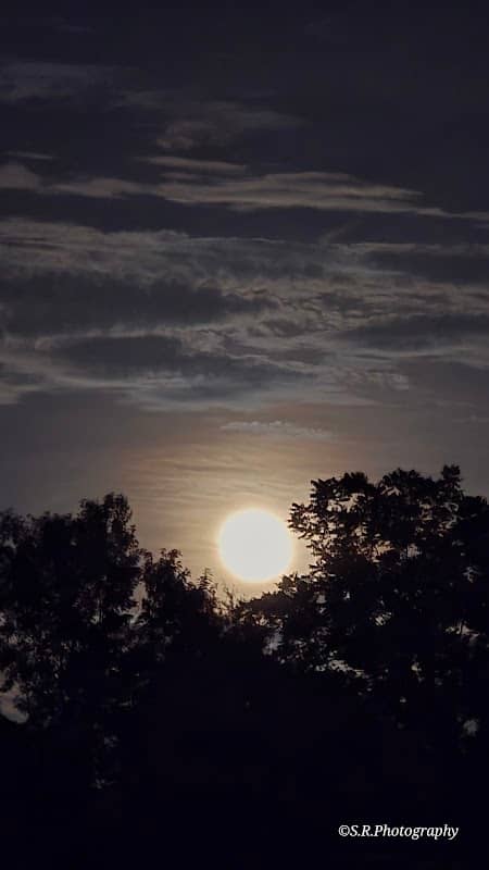 Rollins Road Park - Image 1
