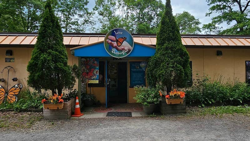 Bear Mountain Butterfly Sanctuary - Image 2
