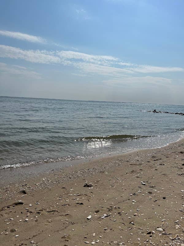 Calvert Cliffs - Image 1