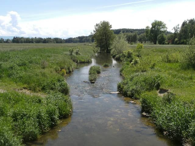 Naturgebiet Henneleiten - Image 1