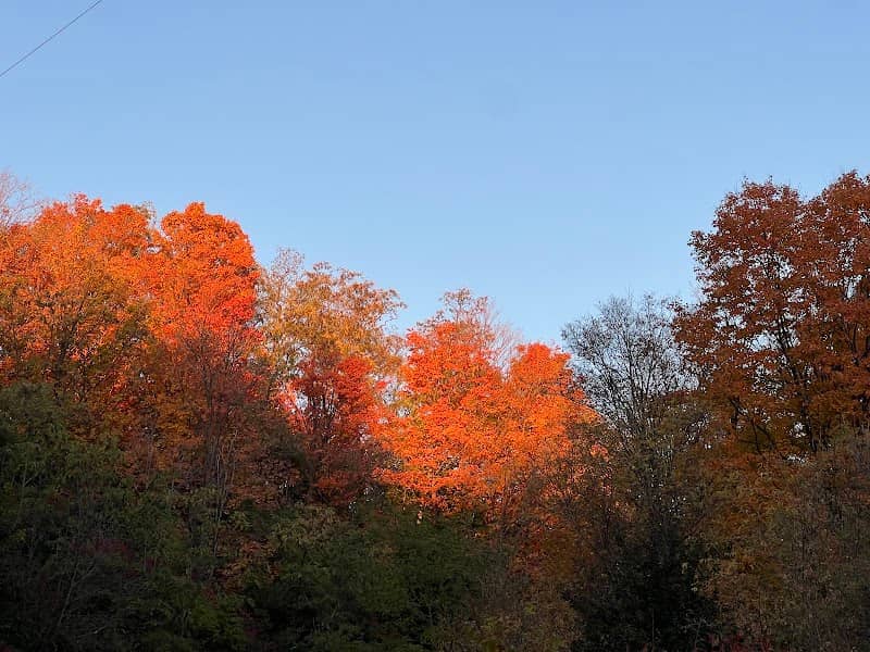 The Moccasin Trail - Image 2