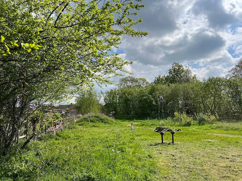 The Nettles - Image 1
