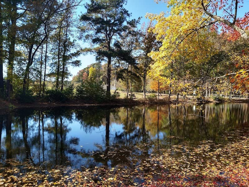 Clayton Community Park - Image 2