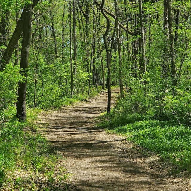 Page Park - Image 1