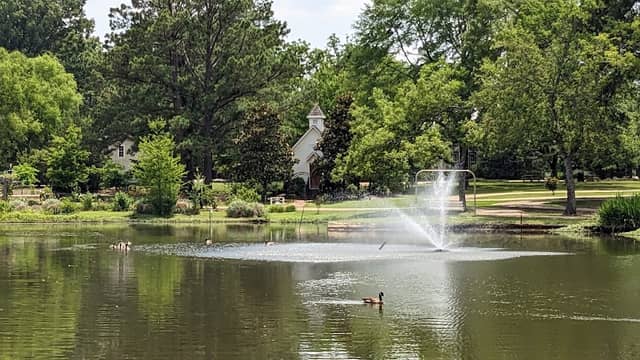 Strawberry Patch Park - Image 2
