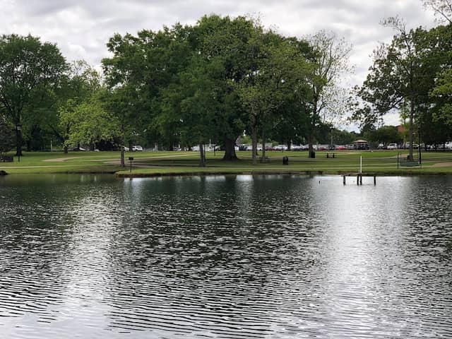 Strawberry Patch Park - Image 1