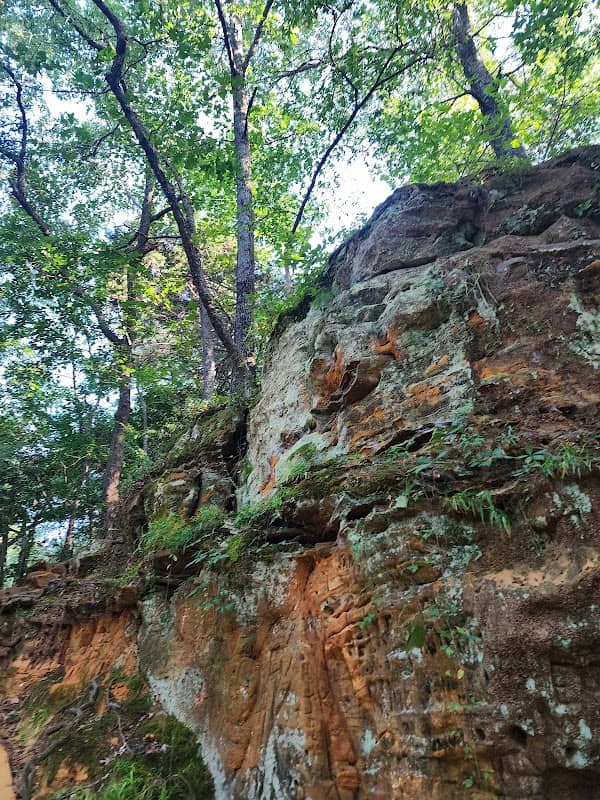 Waterloo Park - Image 1