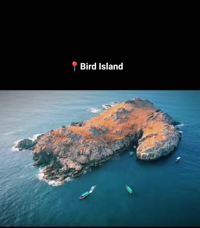Kuber Sea Tours ⛵ - Image 1