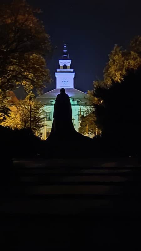 Pomnik Księżnej Anny Mazowieckiej - Image 1