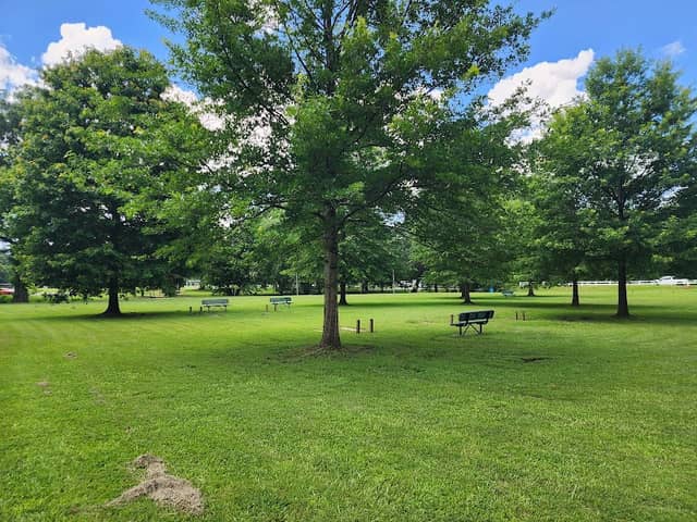 Woodrow Wilson Park - Image 3