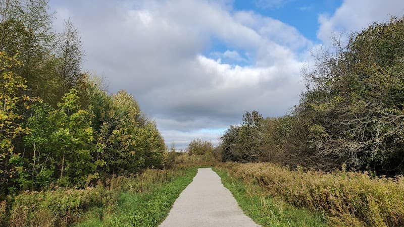 Stormwater Pond on Oak Ridges Corridor Conservation Reserve - Image 1