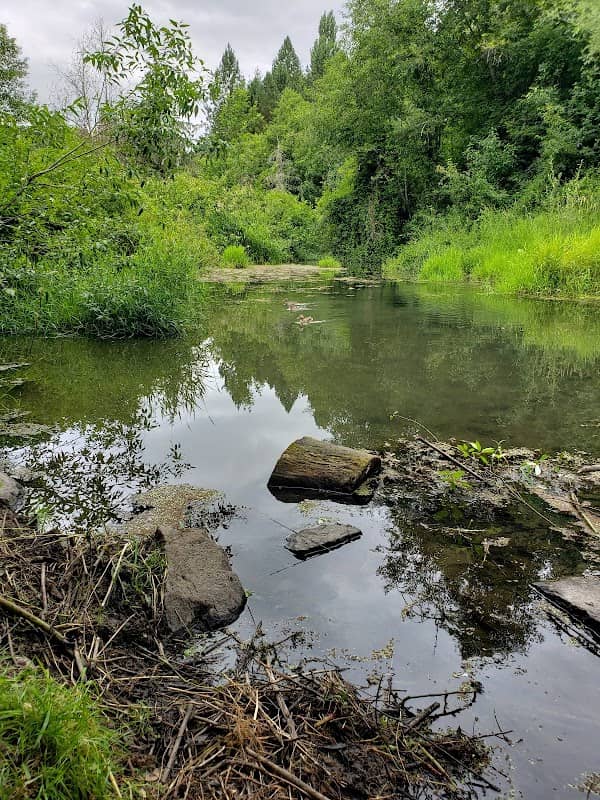 Turner Creek Park - Image 1