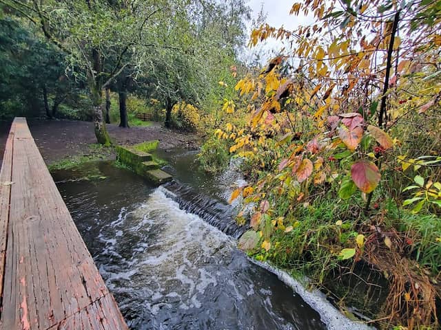 Turner Creek Park - Image 2