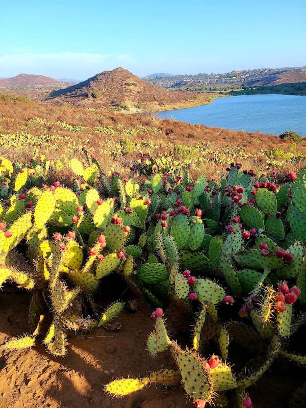 San Dieguito River Trail - Image 1