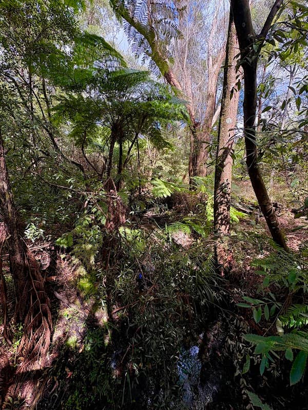 Rabbett Reserve - Image 1
