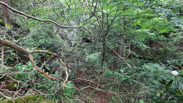 Keyhole Falls - Image 2