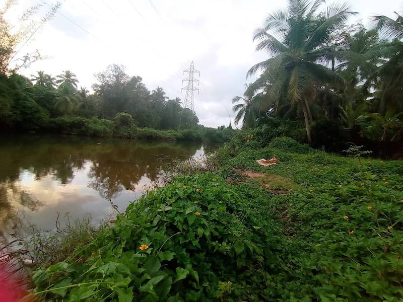 Thekkekara view point - Image 1