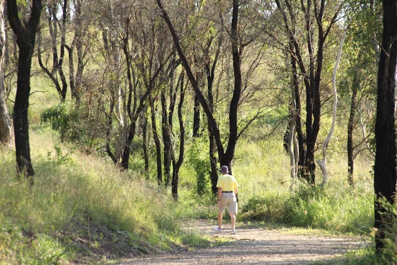 Loop trail - Image 2