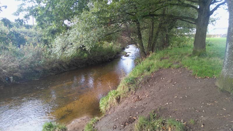 Havelock Park - Image 2