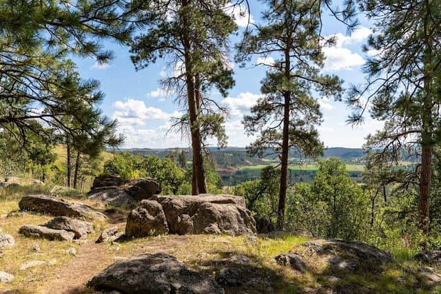 Devils Tower - Image 1