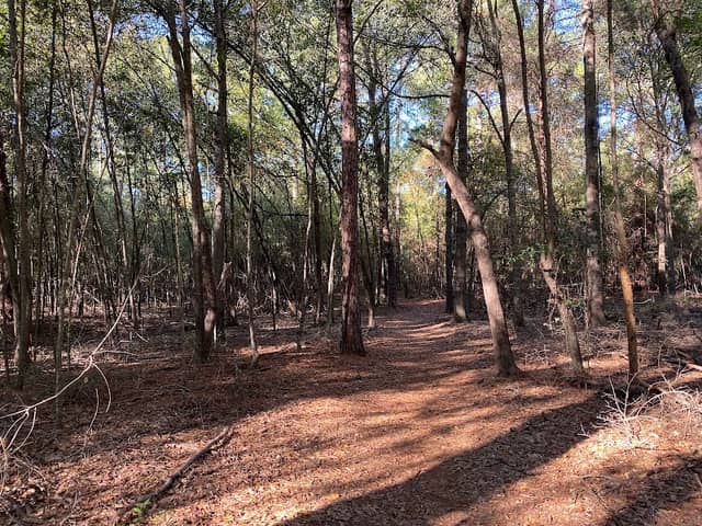 Forever Wild Trails - Image 1