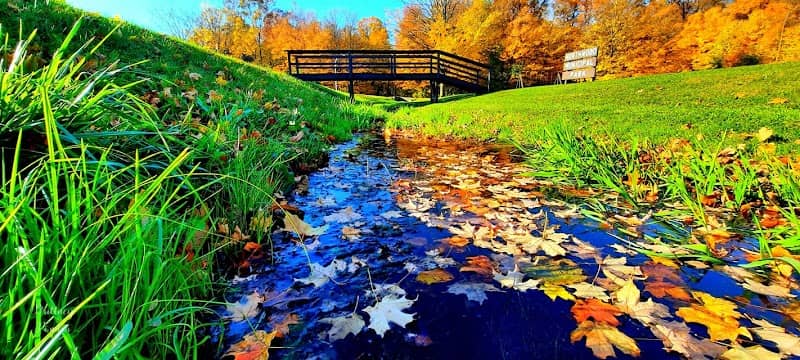 Northwood Park - Image 1