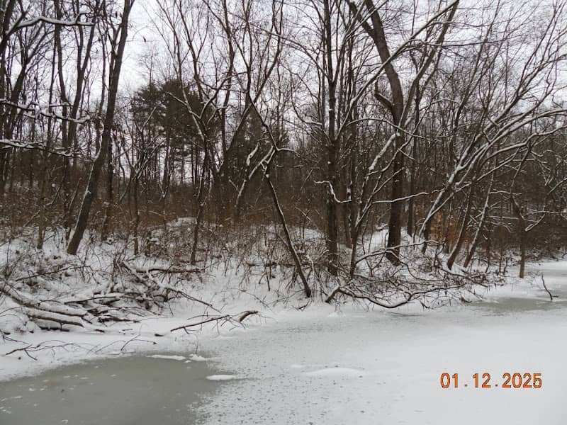 Stillwater Creek - Image 1