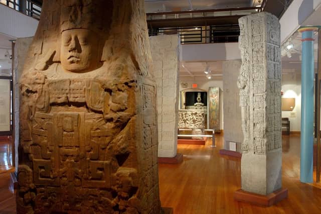 Peabody Museum of Archaeology and Ethnology - Image 2