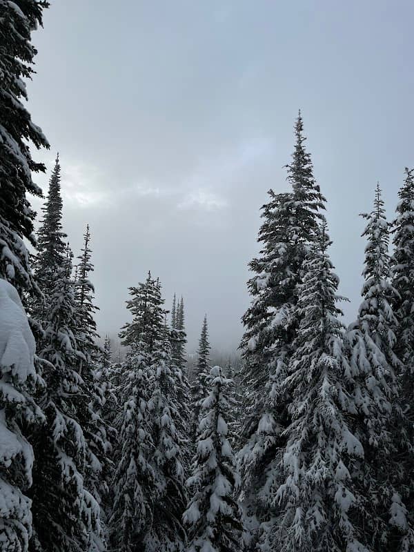 Silver Star Snowshoe Trailhead - Image 1