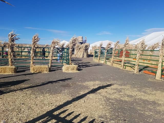 Galloping Grace Youth Ranch - Image 2