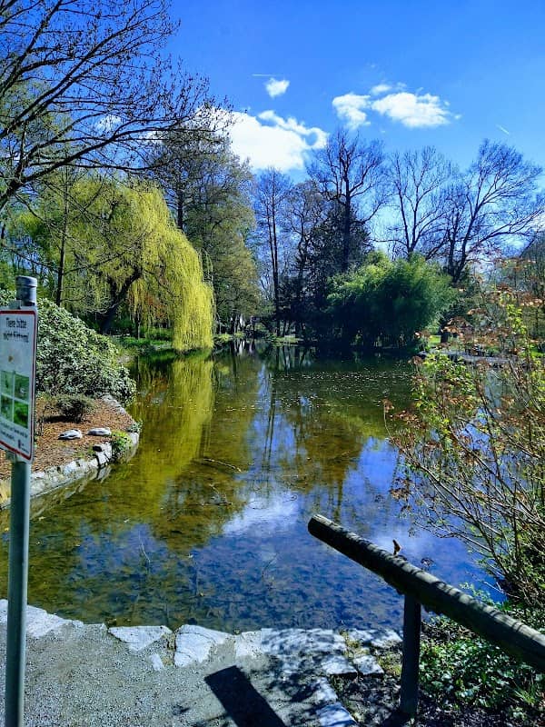 Teich im Schöntal - Image 1