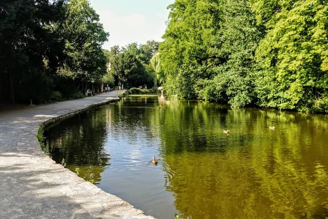 Teich im Schöntal - Image 2