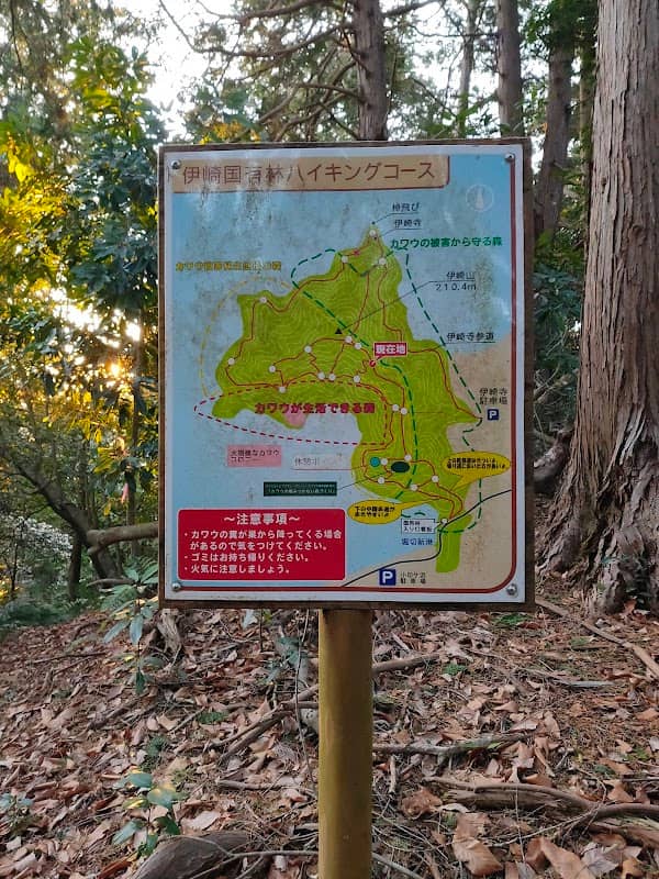 Mt. Isaki - Image 1