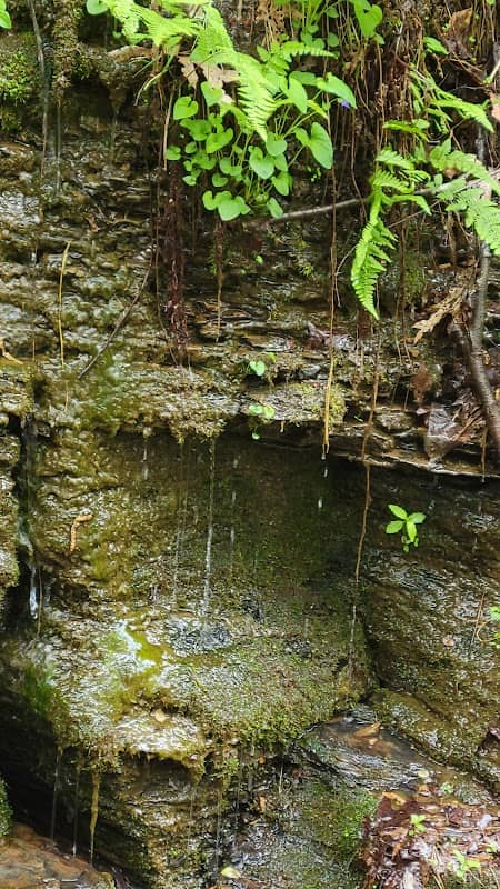 Jefferson National Forest - Image 3