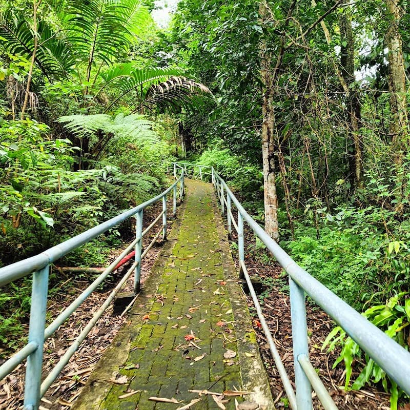 Gerbang Masuk Tekaan Telu Waterfall - Image 1