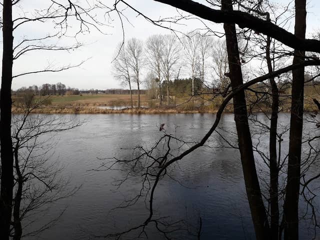 Skarpa nad Narwią 對於每個人 - Image 1