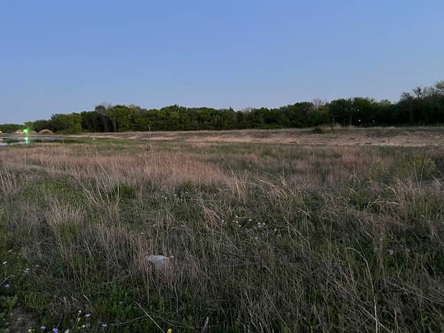 Swan Pond - Image 1