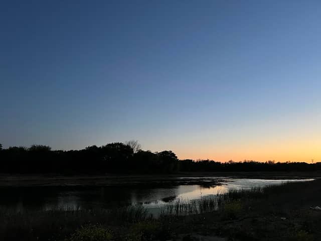 Swan Pond - Image 2