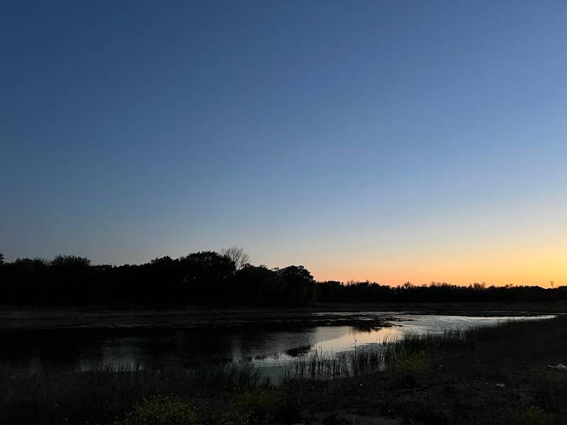 Swan Pond - Image 2