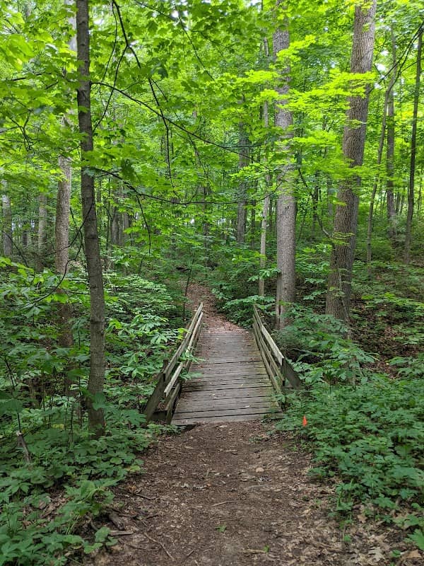 Miami University Nature Trail - Image 1