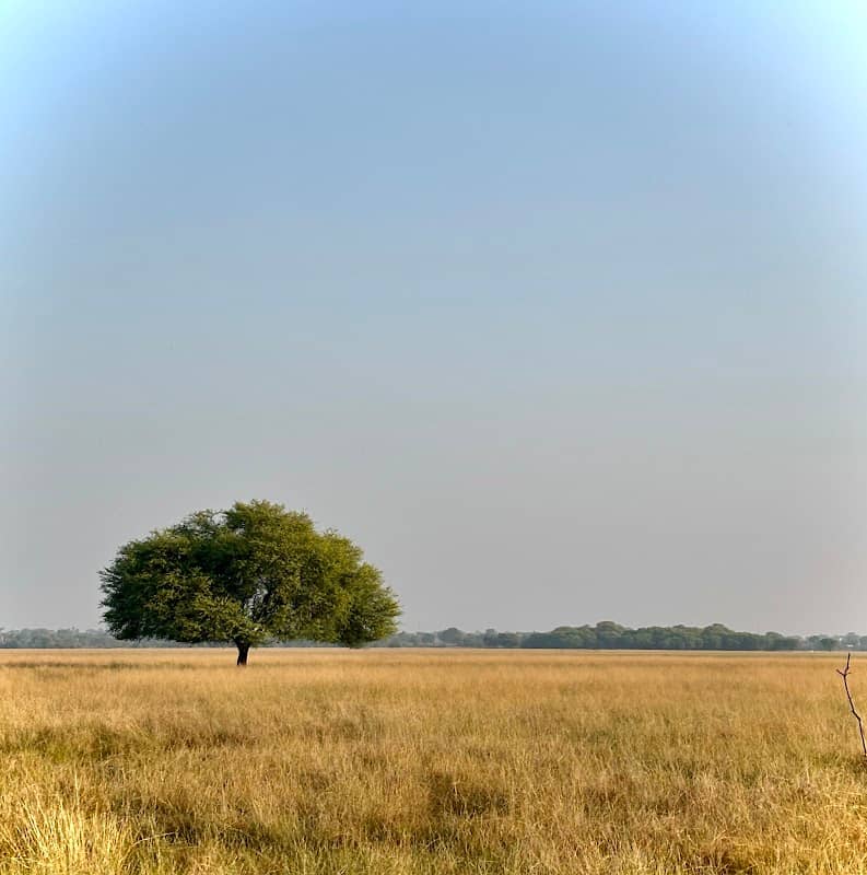 Tal Chappar FRH - Image 1