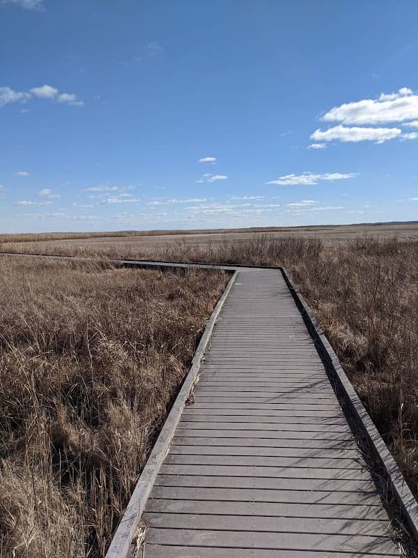 Bombay Hook National Wildlife Refuge - Image 2