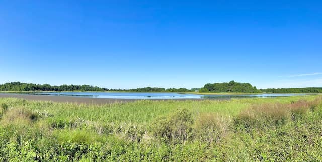 Bombay Hook National Wildlife Refuge - Image 3