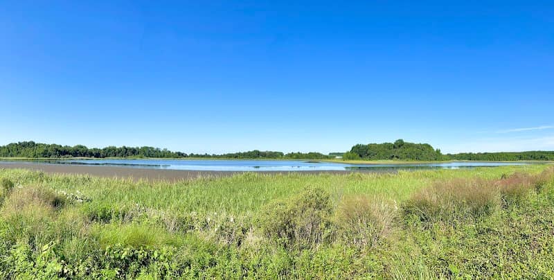 Bombay Hook National Wildlife Refuge - Image 3