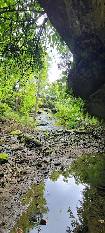 Tip Top Falls - Image 2