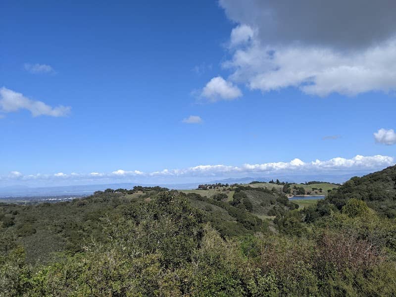 Lee Grove / Orchard Glen - Image 1