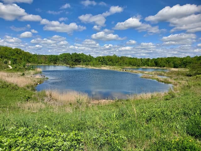 Blue Heron Preserve - Image 1