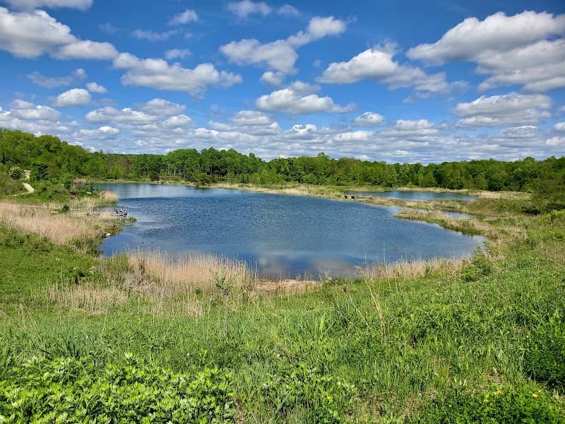 Blue Heron Preserve - Image 1