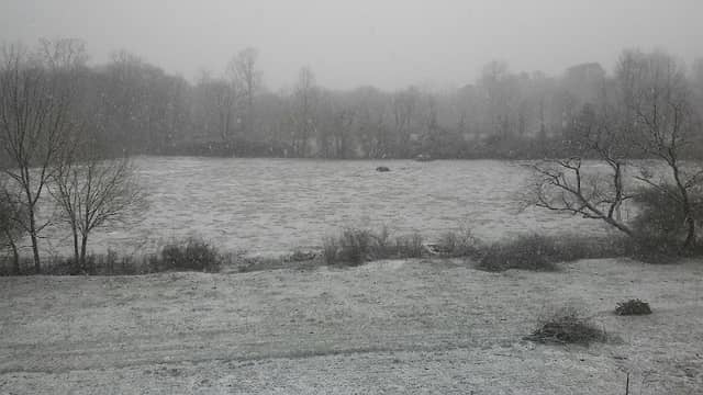 Warne - Image 1